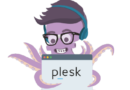 Installing Plesk for Linux in One Click